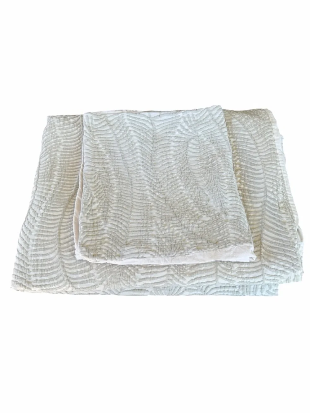 West Elm Trailing Fern Matelasse 2-Piece King Size Duvet Cover Set Celedon GUC